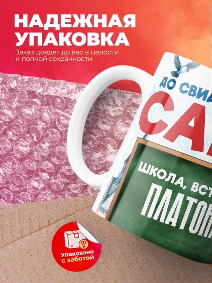 Кружка школа встречай Платона  Жуковский