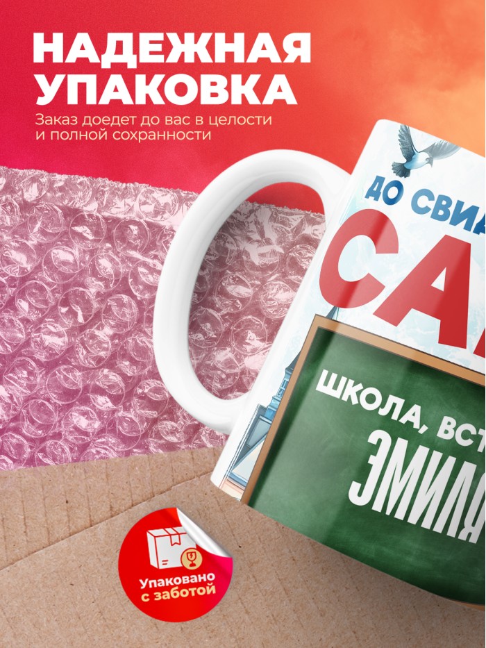 Кружка школа встречай Эмиля  Жуковский