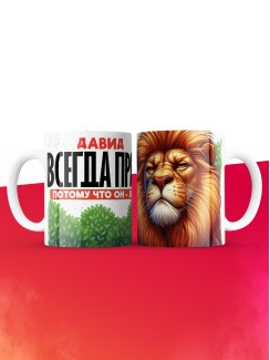Кружка Давид всегда прав