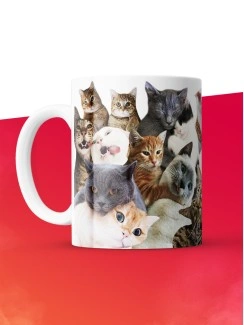 Кружка с принтом: Мы, котики, мем, белая, 330 мл.